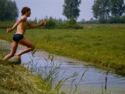 0DIA 1984 RAVA B1